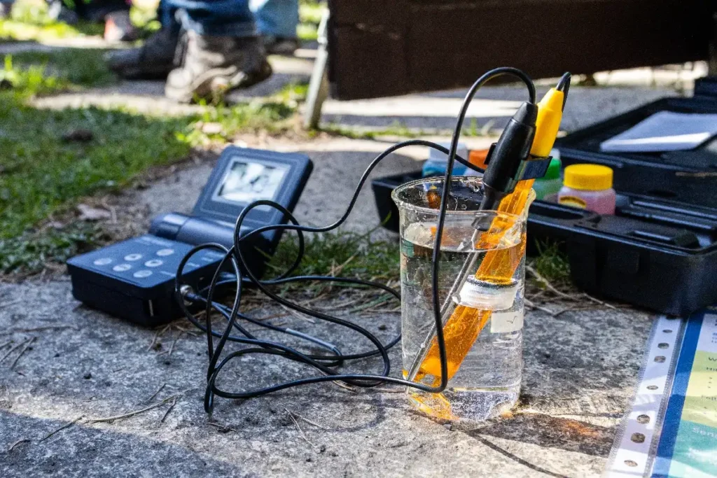 Rok 2025 - Aš na zdravý festival