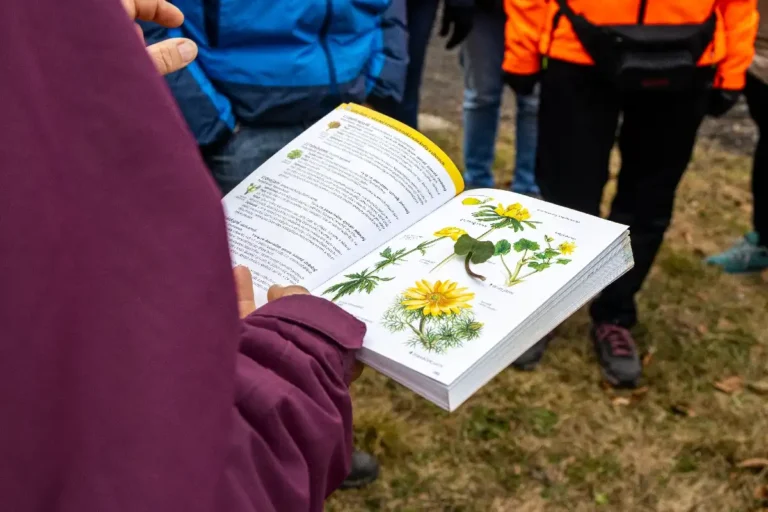 Rok 2025 - Aš na zdravý festival